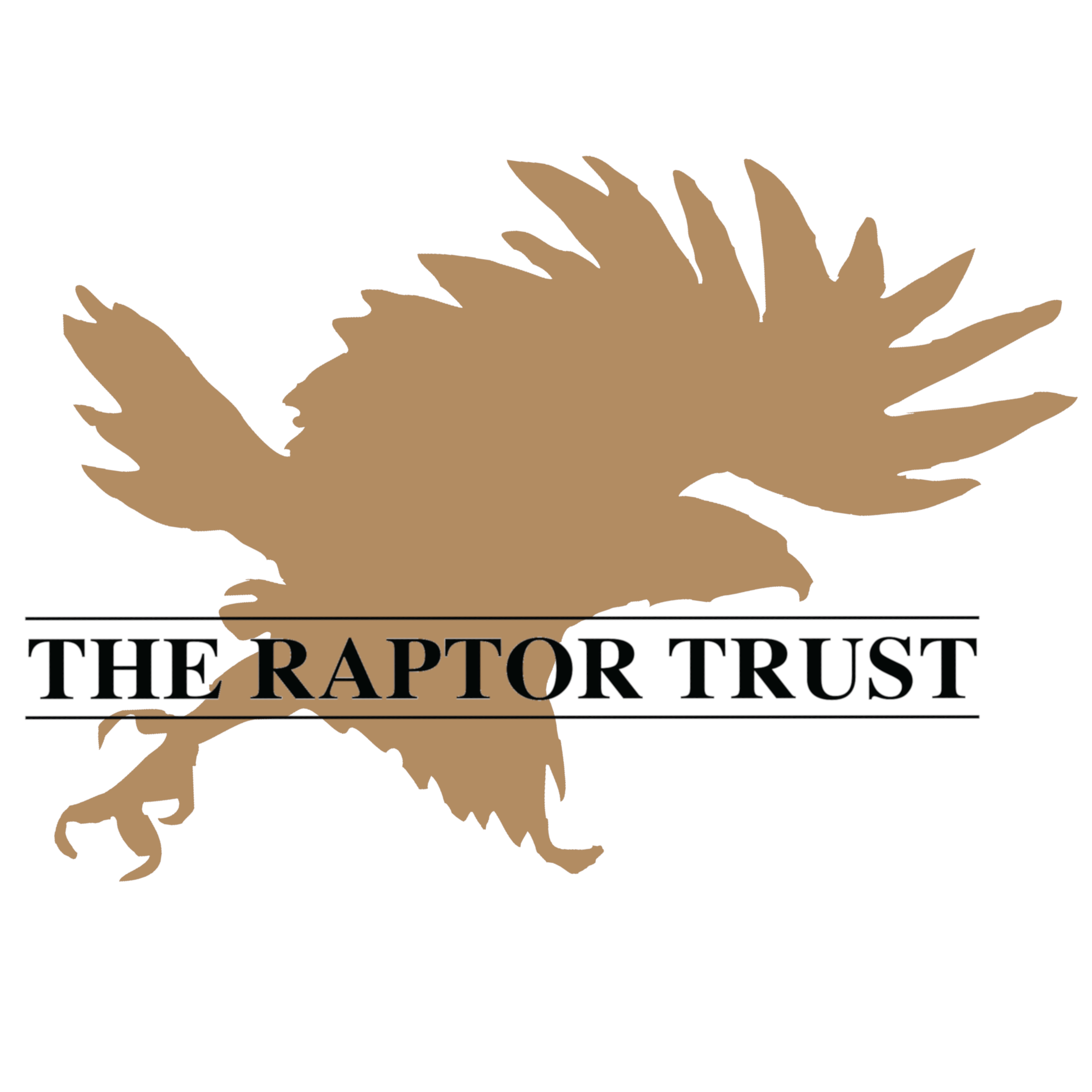 Fierce and Fast: The Peregrine Falcon by Jim Wright, Book Signing - logo